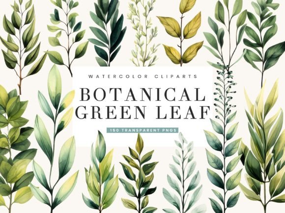 Download Watercolor Botanical Green Leaf Clipart - Green leaf Collection